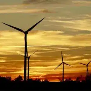 ¿Qué es la Bioimpresión 3D y cuáles son sus usos?