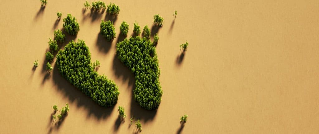 Entendiendo la huella de carbono: una guía completa